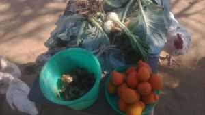 Food donated by Planting A Future Members